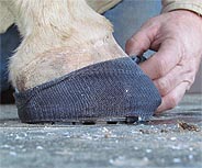 EponaShoe can be cast